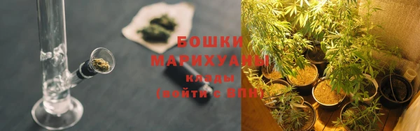mdpv Гусь-Хрустальный