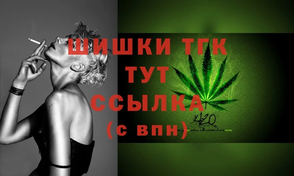 твердый Гусиноозёрск