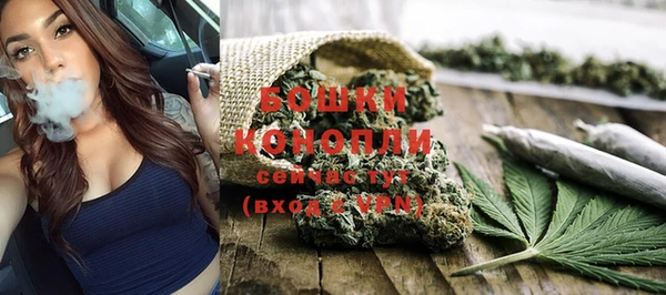 сатива Новый Уренгой