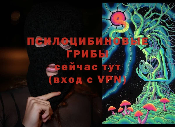твердый Гусиноозёрск
