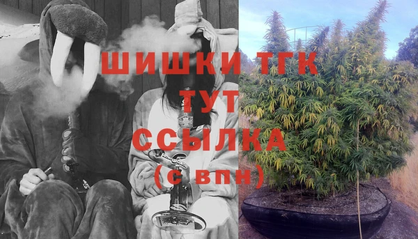 твердый Гусиноозёрск
