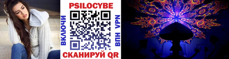 купить   Заринск  Псилоцибиновые грибы Psilocybe 